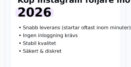 instagram följare leverans inom 1 timme för butikskonto – hero