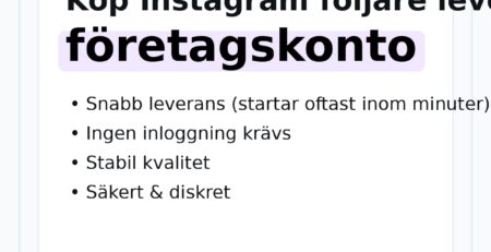 instagram följare leverans samma dag för företagskonto – hero