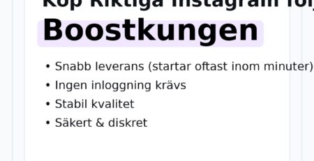 riktiga instagram följare – hero