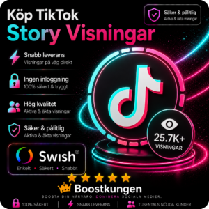 Köp TikTok Story Visningar